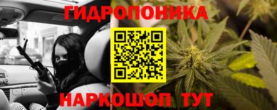 гидропоника Кунгур