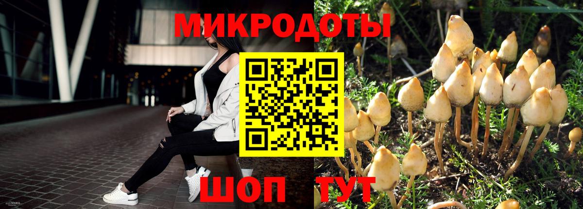 Псилоцибиновые грибы Cubensis Ефремов